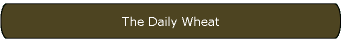 The Daily Wheat
